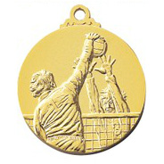 男子バレーボール（SM-8116）