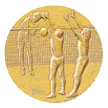 バレーボール（男子）