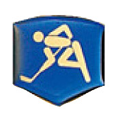 アイスホッケー