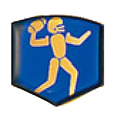 アメリカンフットボール