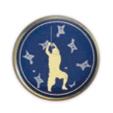 スポーツクライミング
スピードクライミング