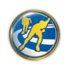 アイススケート