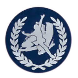 フィギュアスケート