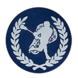 ラクロス