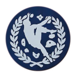スポーツクライミング(ボルダリング)