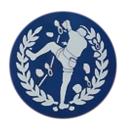 スポーツクライミング(リード)