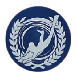 ボディーボード