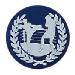 キックボクシング