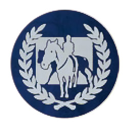 乗馬