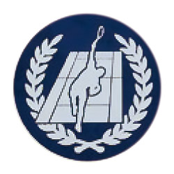 テニス