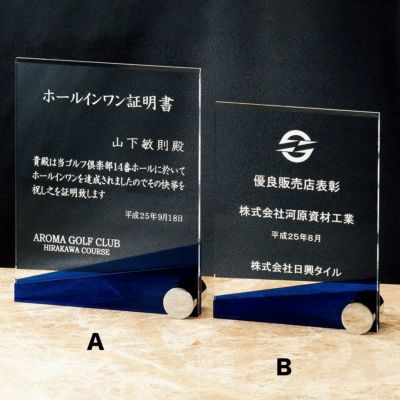 セミオーダー・オリジナルアクリル製楯（盾）｜トロフィー